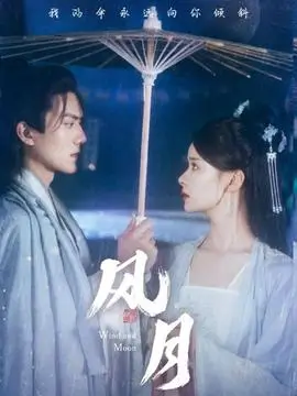 归途有风短剧海报